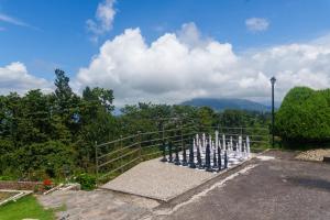 ama stays and trails adambari gardens kalimpong