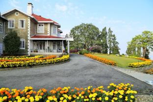 ama stays and trails adambari gardens kalimpong
