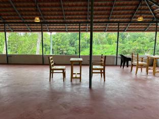 The Mystic Cliff Varkala,,1 star