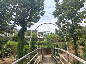 appleland city athirapilly