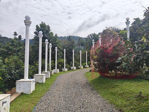 appleland city athirapilly