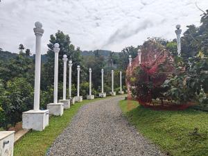 appleland city athirapilly