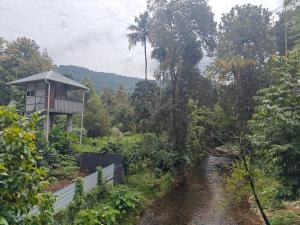 appleland city athirapilly