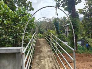 appleland city athirapilly