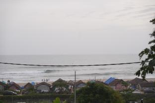 the beach hive
