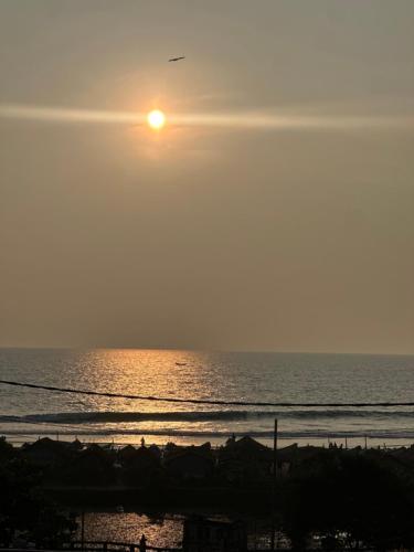 the beach hive