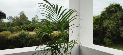 surya villa