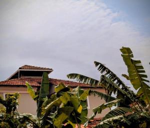 canto hostel and stays