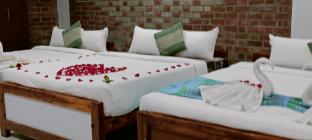 five falls ramana villa