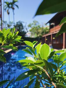 baan u sabai boutique house