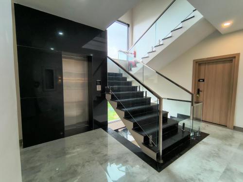 kynjing suites