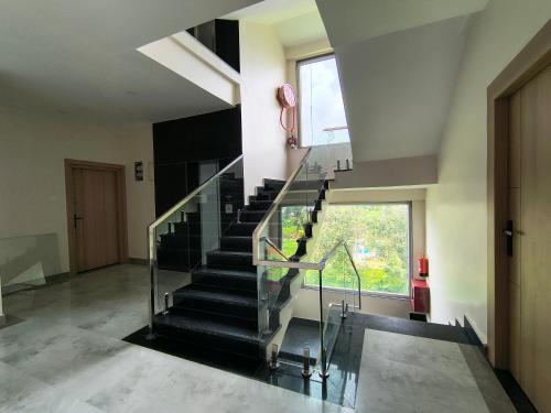 kynjing suites