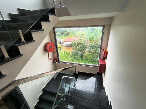 kynjing suites