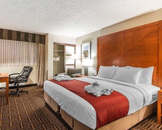 Wyndham Garden Medicine Hat Conference Center,Near Esplanade Arts And Heritage Centre,3 star