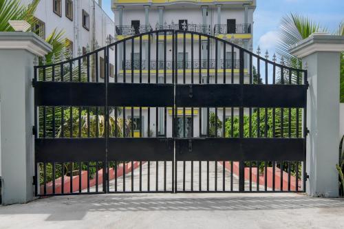 spot on the green palace