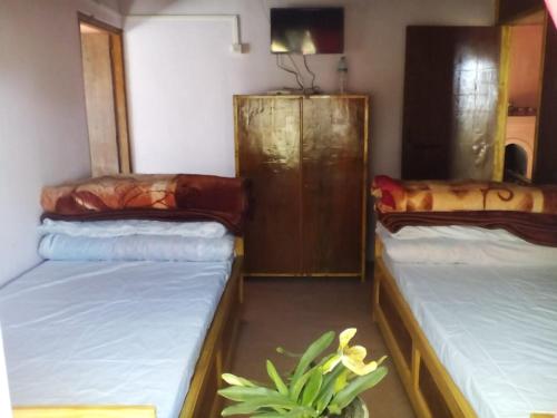 dilpali homestay