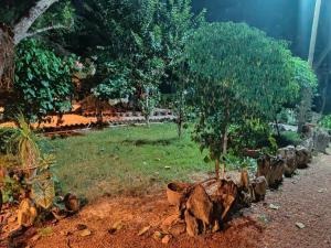 bichitrita homestay