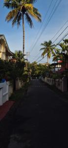 brundhavan peaceful villa in kottayam
