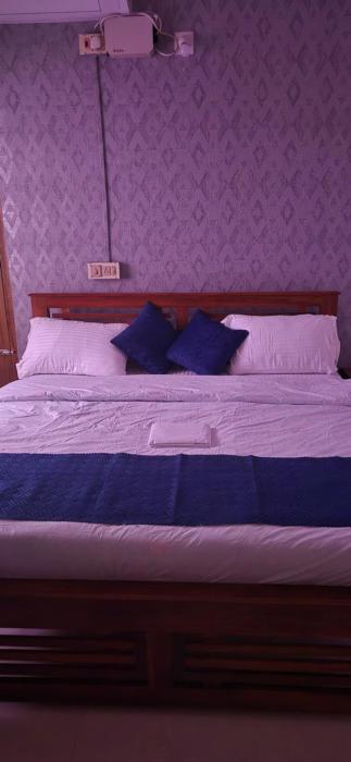 brundhavan peaceful villa in kottayam