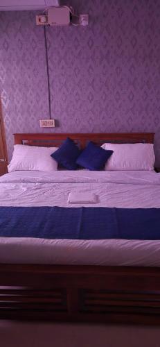 brundhavan peaceful villa in kottayam