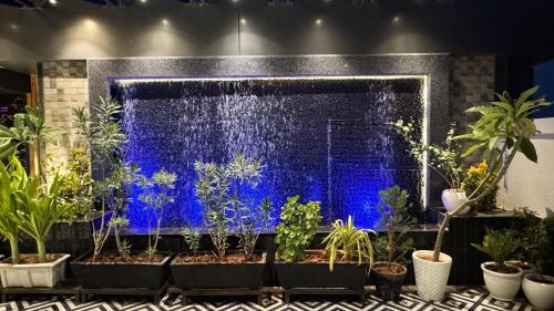 boutique apartment by one tree civil road jodhpur