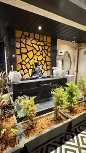 boutique apartment by one tree civil road jodhpur