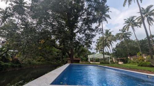 goa