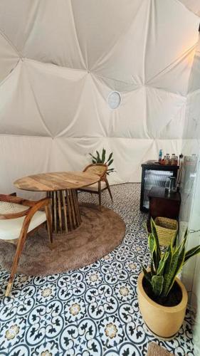indulge house