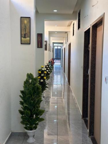 hotel embassy inn