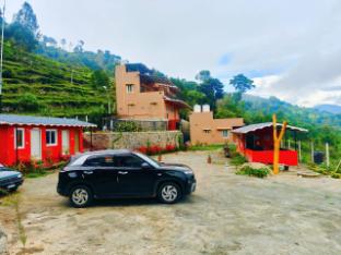 humming bird by brown tree resorts