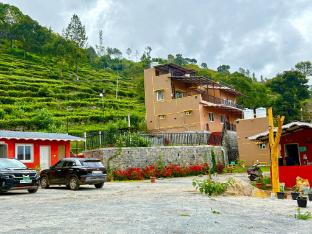 ooty