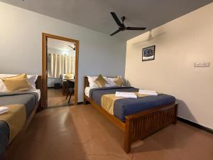 humming bird by brown tree resorts