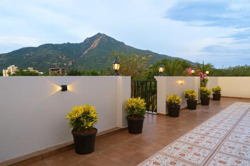 haaraa suites
