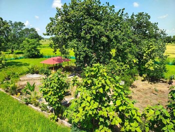 shivansh agro tourism and home stay