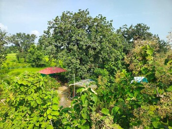 shivansh agro tourism and home stay