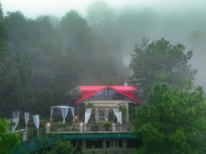 ama stays and trails 7 pines kasauli