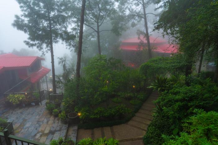 ama stays and trails 7 pines kasauli