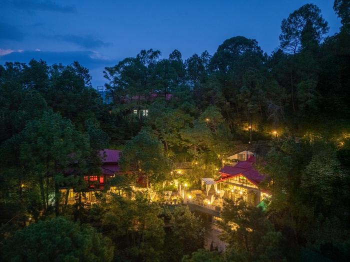 ama stays and trails 7 pines kasauli