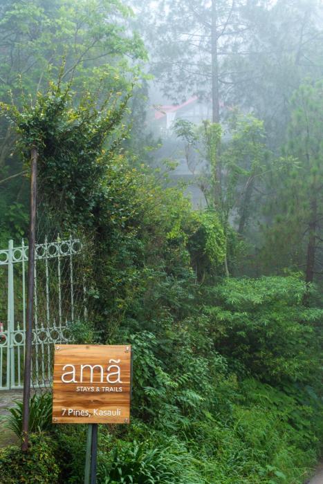 ama stays and trails 7 pines kasauli
