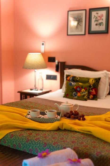 ama stays and trails 7 pines kasauli