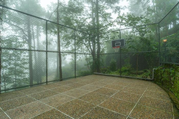 ama stays and trails 7 pines kasauli