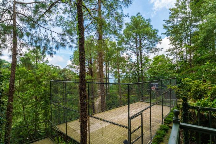 ama stays and trails 7 pines kasauli