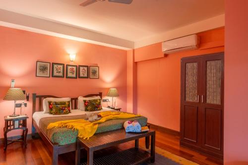 ama stays and trails 7 pines kasauli
