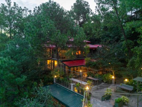 ama stays and trails 7 pines kasauli