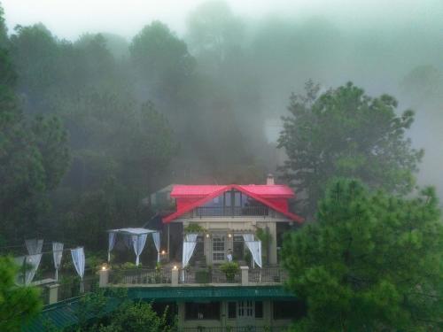 ama stays and trails 7 pines kasauli