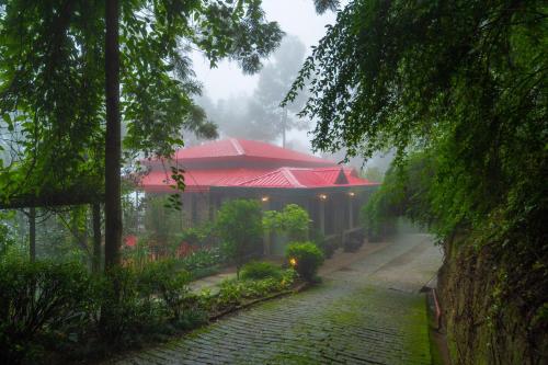 ama stays and trails 7 pines kasauli