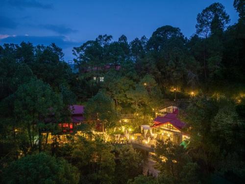 ama stays and trails 7 pines kasauli