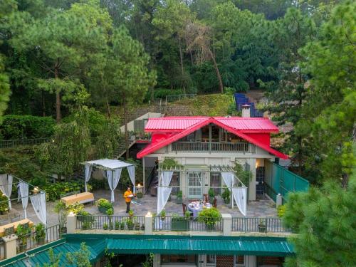 ama stays and trails 7 pines kasauli