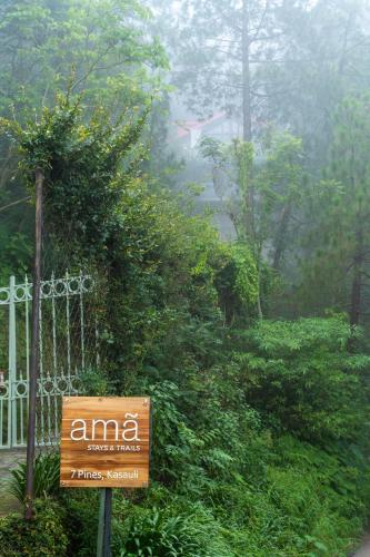 ama stays and trails 7 pines kasauli