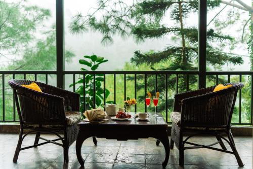 ama stays and trails 7 pines kasauli